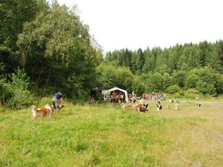 2009-08-15_ntb_4771