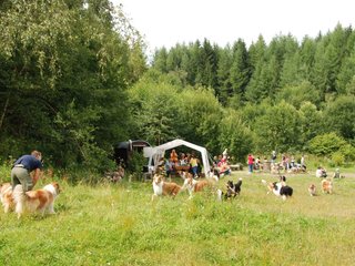 2009-08-15_ntb_4772