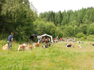 2009-08-15_ntb_4774