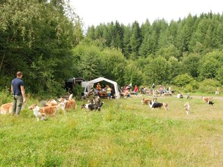 2009-08-15_ntb_4775