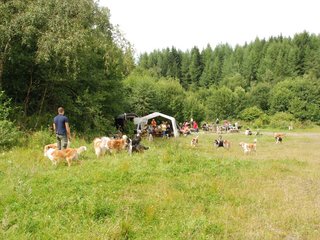 2009-08-15_ntb_4776