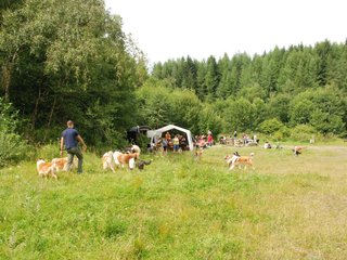 2009-08-15_ntb_4777