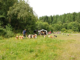 2009-08-15_ntb_4778