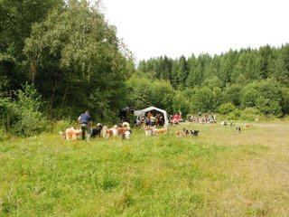 2009-08-15_ntb_4779