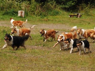 2009-08-15_ntb_4781