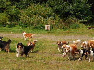 2009-08-15_ntb_4782