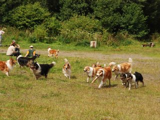 2009-08-15_ntb_4783