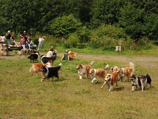 2009-08-15_ntb_4784