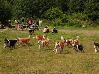 2009-08-15_ntb_4786