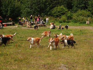 2009-08-15_ntb_4787