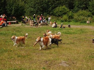 2009-08-15_ntb_4788
