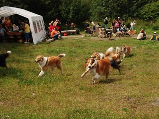 2009-08-15_ntb_4789