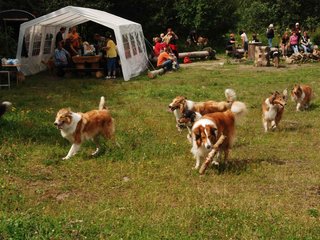 2009-08-15_ntb_4790