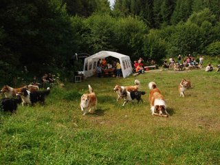 2009-08-15_ntb_4791