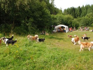 2009-08-15_ntb_4792