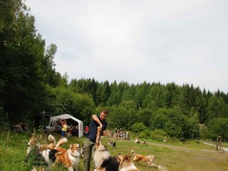 2009-08-15_ntb_4793
