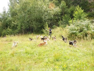2009-08-15_ntb_4799