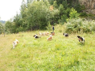 2009-08-15_ntb_4800
