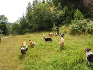 2009-08-15_ntb_4802