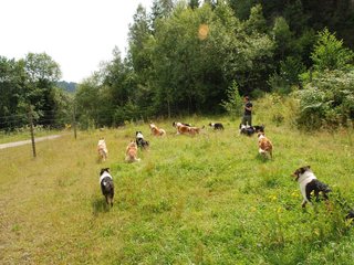 2009-08-15_ntb_4803