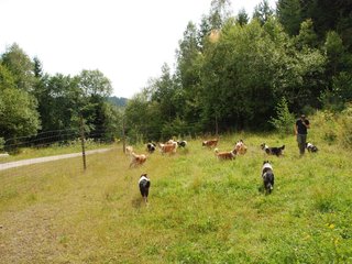 2009-08-15_ntb_4804