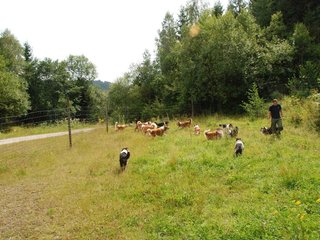 2009-08-15_ntb_4805