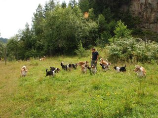 2009-08-15_ntb_4806