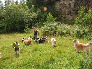 2009-08-15_ntb_4811