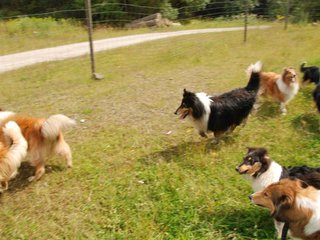 2009-08-15_ntb_4815