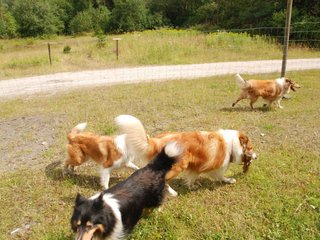 2009-08-15_ntb_4817