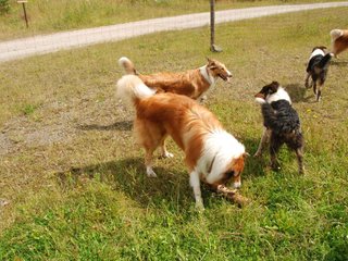 2009-08-15_ntb_4818