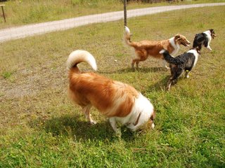 2009-08-15_ntb_4819