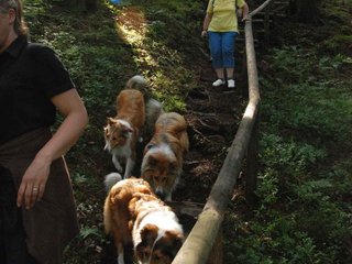 2009-08-15_ntb_4828