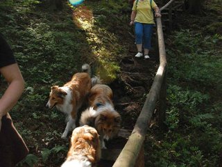 2009-08-15_ntb_4829