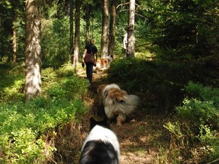 2009-08-15_ntb_4832