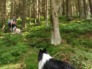 2009-08-15_ntb_4835