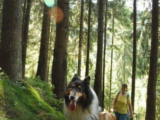 2009-08-15_ntb_4836