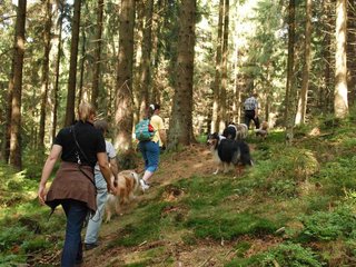 2009-08-15_ntb_4854