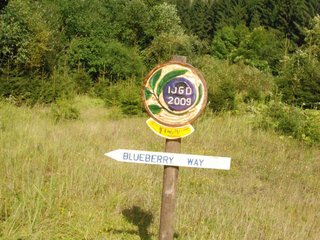 2009-08-15_ntb_4867