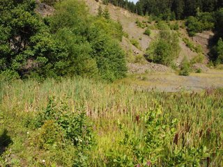 2009-08-15_ntb_4871
