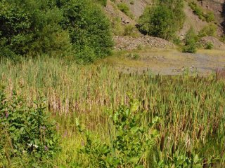 2009-08-15_ntb_4872