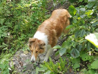 2009-08-15_ntb_4873