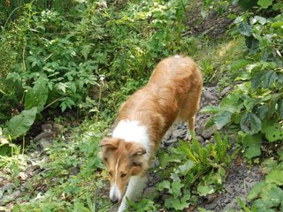 2009-08-15_ntb_4874