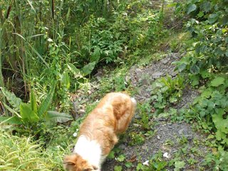 2009-08-15_ntb_4876