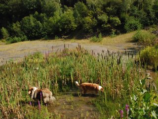 2009-08-15_ntb_4879