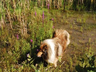 2009-08-15_ntb_4884