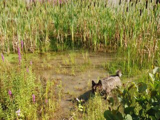 2009-08-15_ntb_4886