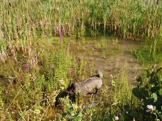 2009-08-15_ntb_4888