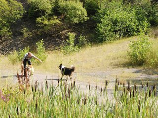 2009-08-15_ntb_4896