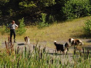 2009-08-15_ntb_4902